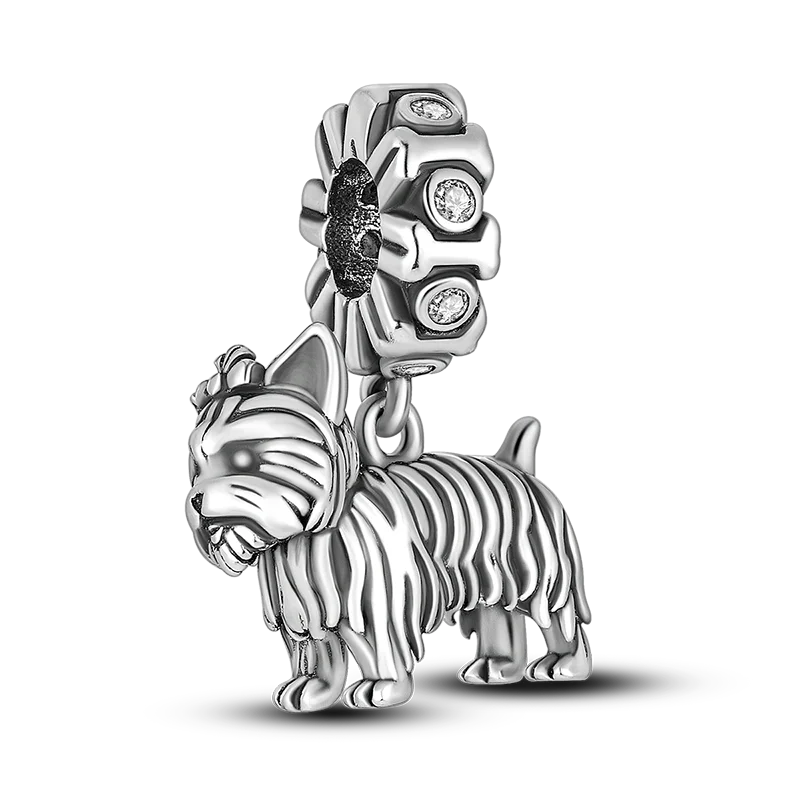 Charmhub Silver Bracelet Charm Limited Edition Collection